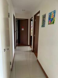 Blk 335C Anchorvale Cove (Sengkang), HDB 4 Rooms #570259441